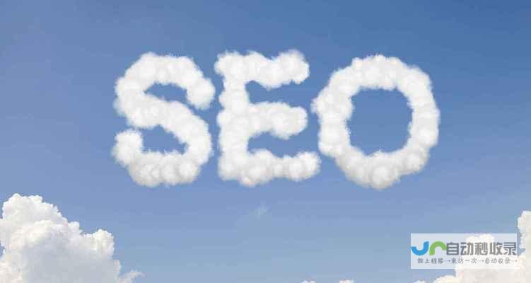 SEO优化能力：提升网站在搜索引擎中的排名。