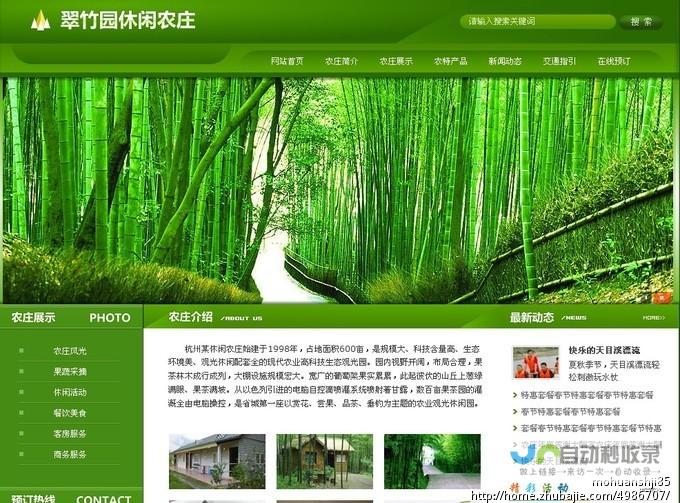 安徽网站推广策略：精准引流，有效转化，实现营销目标