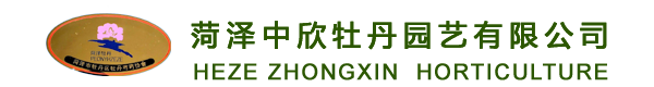 牡丹芍药、花卉苗木、果树苗木、观叶植物、爬藤植物、园林树木―菏泽中欣牡丹园艺有限公司